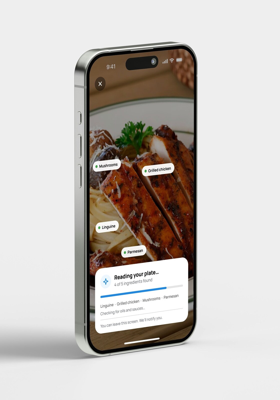 Reading your plate screen